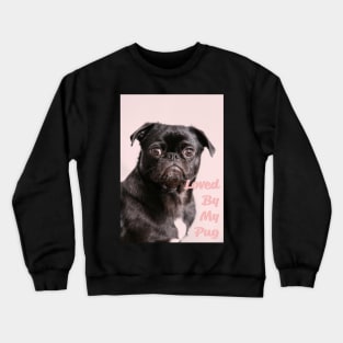 Loved by my pug Crewneck Sweatshirt